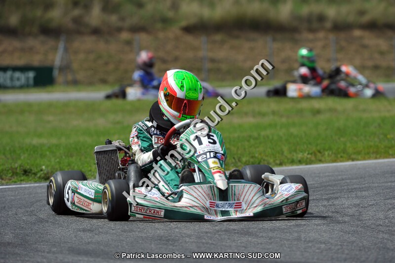 DSC_ (479).jpg